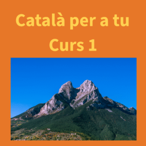 curs thumbnails copy 1 curs 1 2025 09 15 (1)